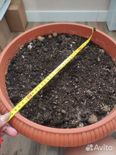 Горшок цветочный с нижним поливом 20 л