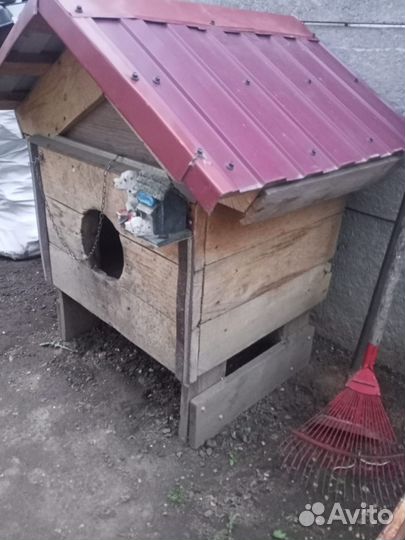 Будка для собаки