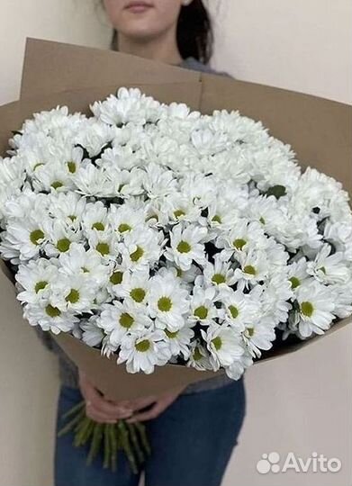 Хризантема Доставка цветов Букеты