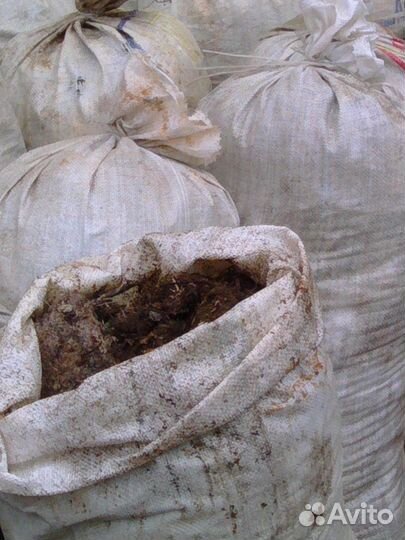 Конский навоз