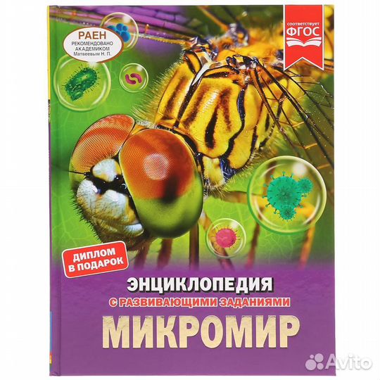Микромир Седова Н.В