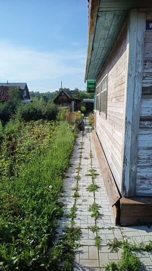 Дача 48 м² на участке 7,5 сот.