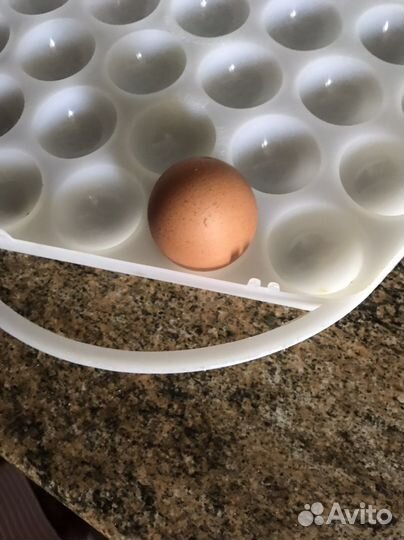 Контейнер, переноска для яиц СССР