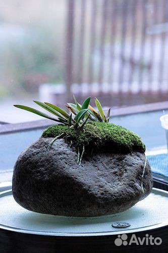 Кашпо, цветочные горшки, вазоны из натурального ка