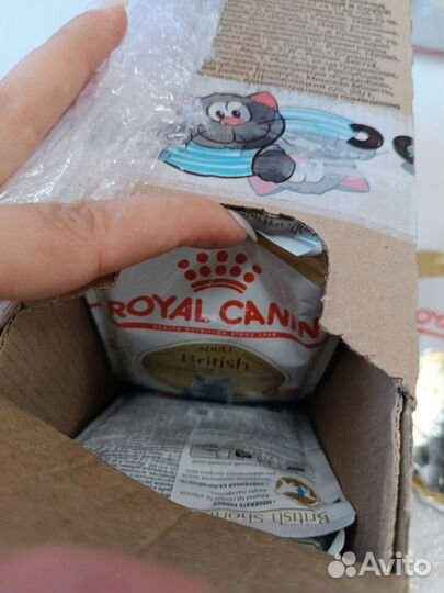 Влажный корм для кошек royal canin