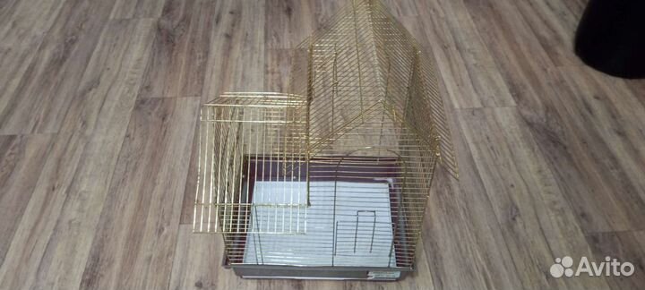 Домашние животные