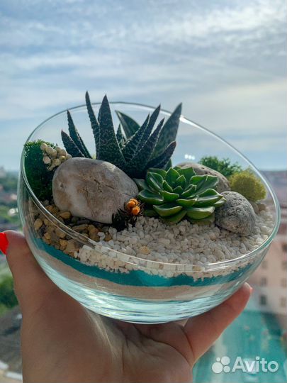 Флорариум с суккулентами