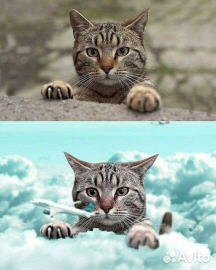 Ретушь и обработка фотографий