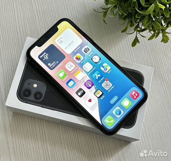 iPhone 11, 128 ГБ