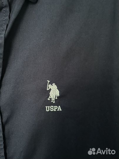 Мужская рубашка uspa (XS)