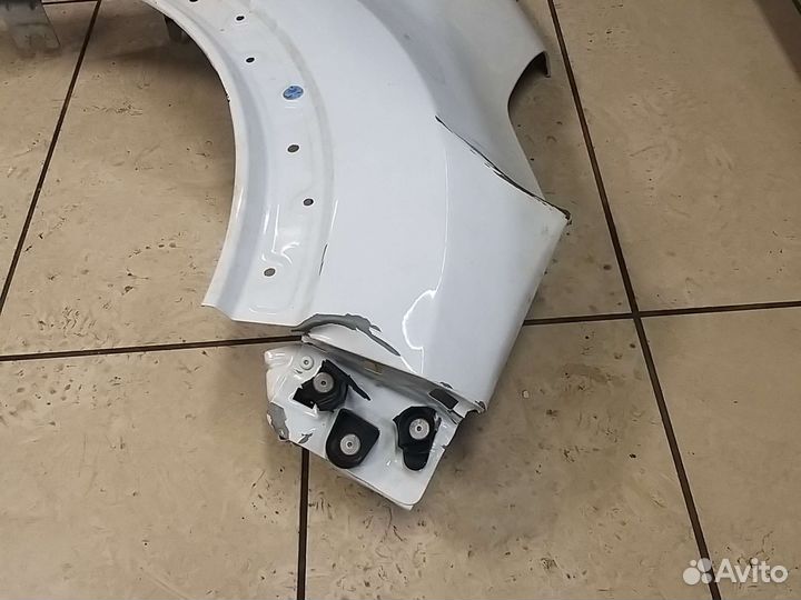 Крыло Renaut kaptur