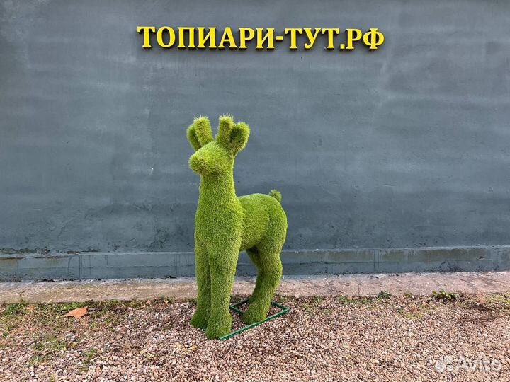 Топиари Топиарные фигуры Садовые фигуры