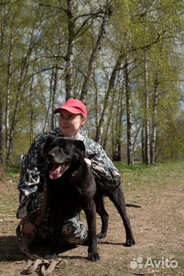 Потап хочет в семью (Собака из приюта)