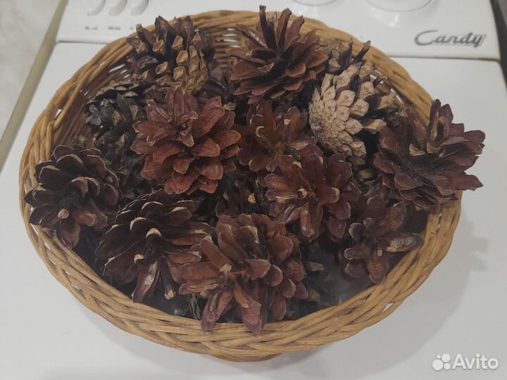 Шишки для декора