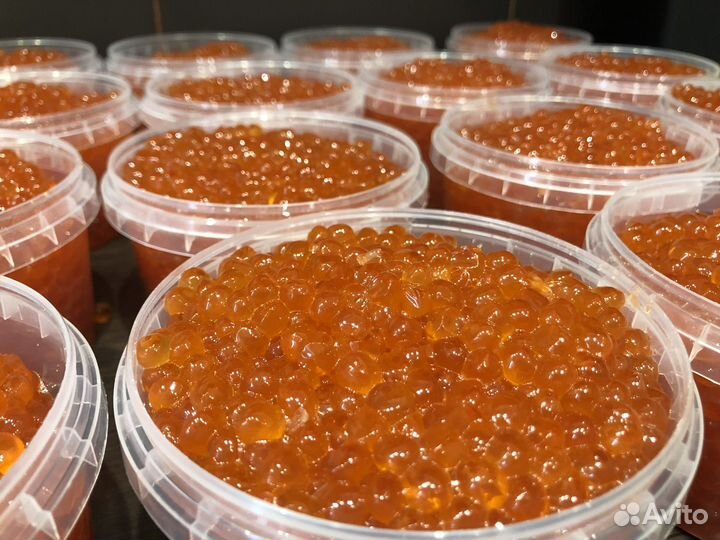 Красная икра горбуши 2023