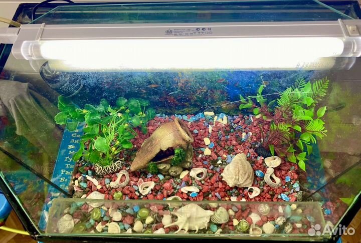 Аквариум