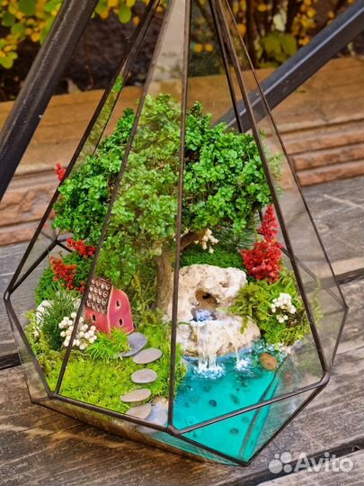 Флорариумы моссариумы без ухода