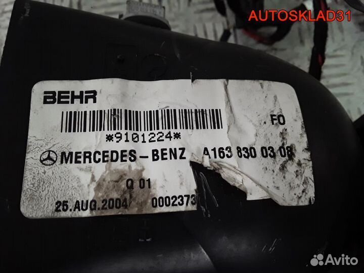 Моторчик отопителя Mercedes Benz W163 1638300308