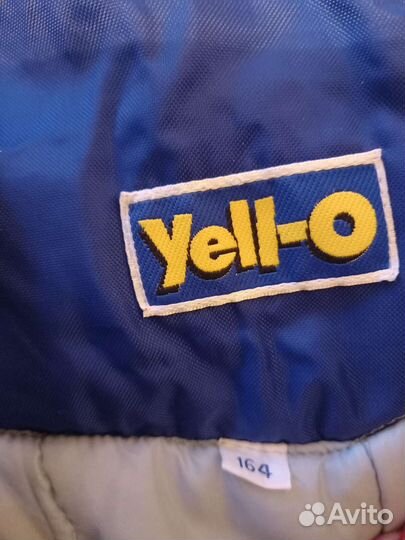 Горнолыжные штаны женские