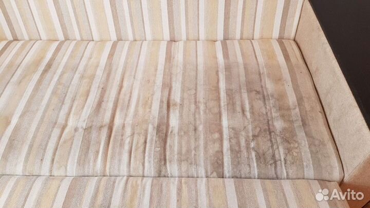 Аренда моющего пылесоса karcher