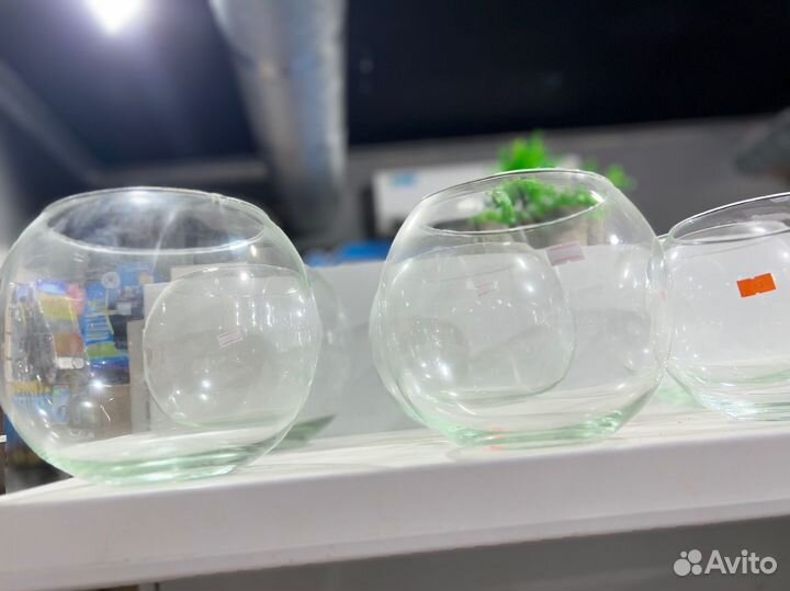 Аквариум круглый