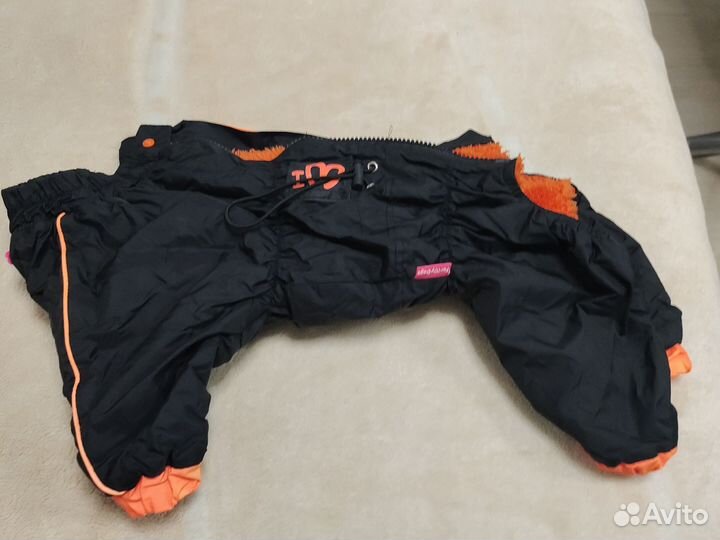 Одежда для собак