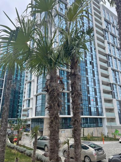 Квартира-студия, 18 м², 7/20 эт.