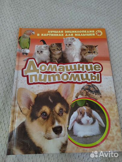 Детская книга