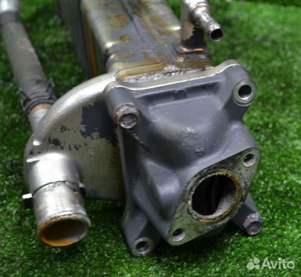 Радиатор системы EGR Hyundai / Kia D4GA