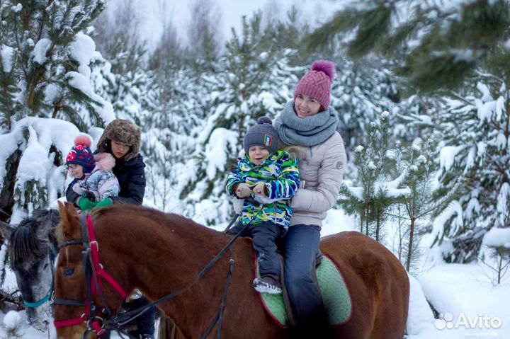 Конные прогулки, обучение верховой езде, походы