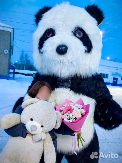 Аэрокостюм Панда