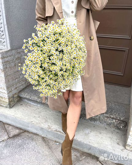 Большой букет из матрикарии