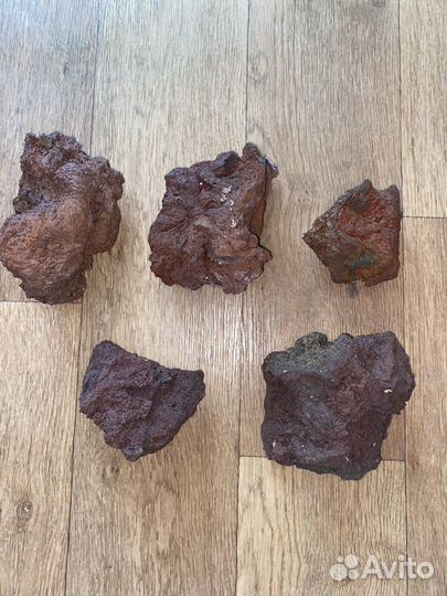 Инвентарь для аквариума