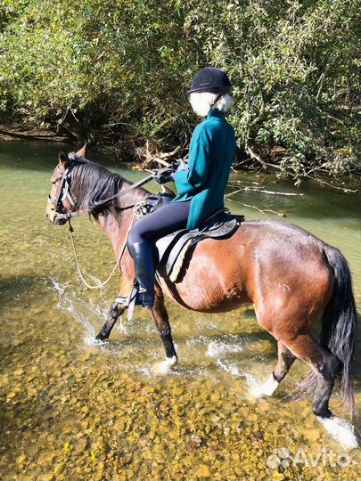 Конные прогулки, верховая езда, прокат лошадей