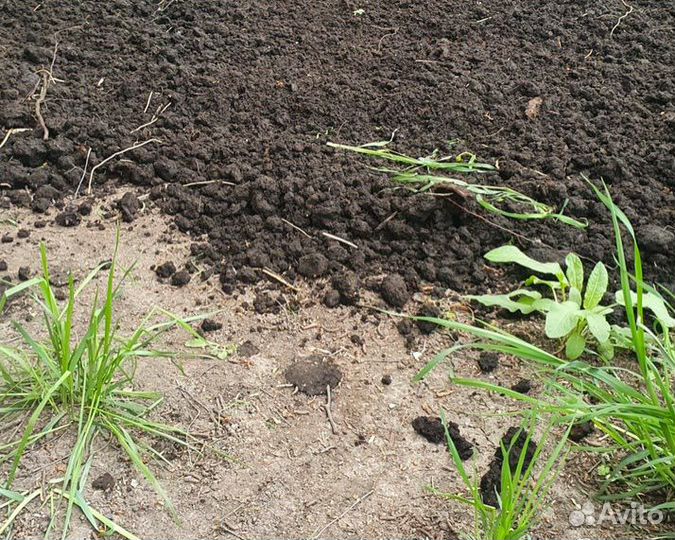 Плодородный грунт, Торфо Сапропель