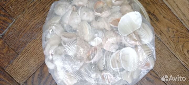 Пакет черноморских ракушек для поделок