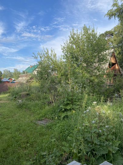 Участок 4,8 сот. (СНТ, ДНП)