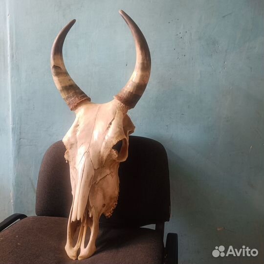 Декоративная вешалка