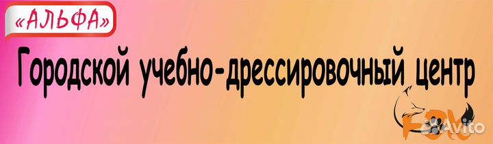 Услуги кинолога