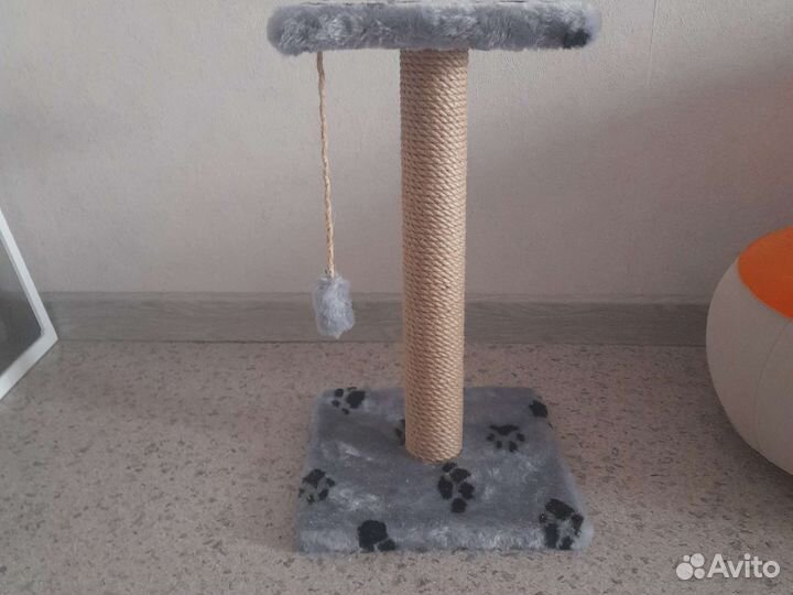 Когтеточка