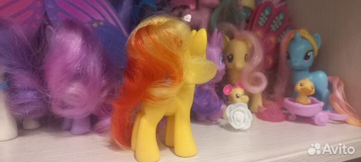 My little pony