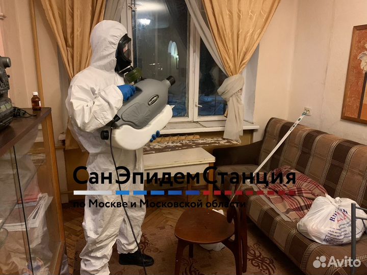 Уничтожение тараканов, клопов, клещей, крыс, ос