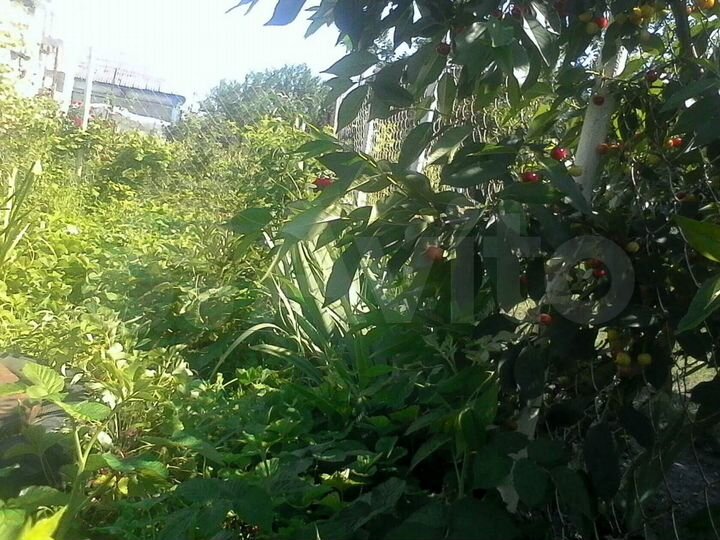 Дом 51 м² на участке 1 сот.