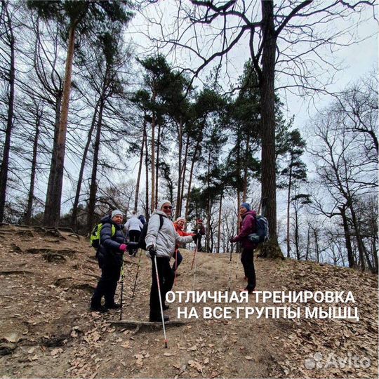 Инструктор скандинавской ходьбы/Тропарево/зао