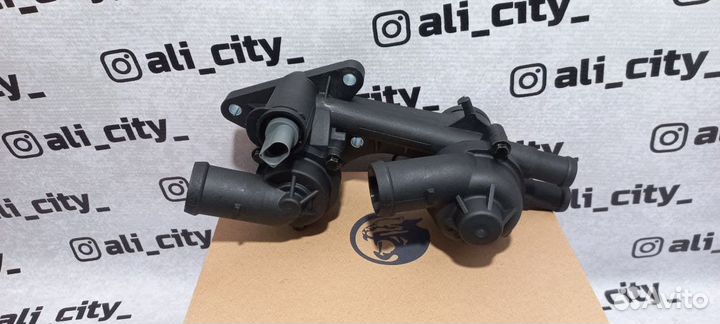 Термостаты всборе с корпусом поло Luzar