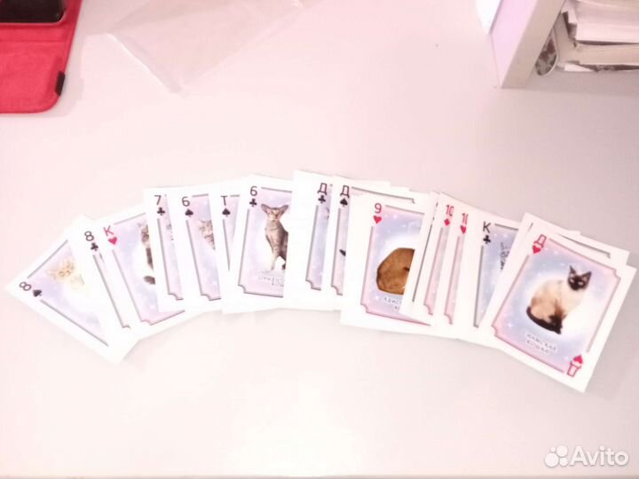 Игральные карты,с породами кошек со всего мира