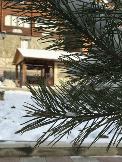 Дом 241 м² на участке 12 сот.