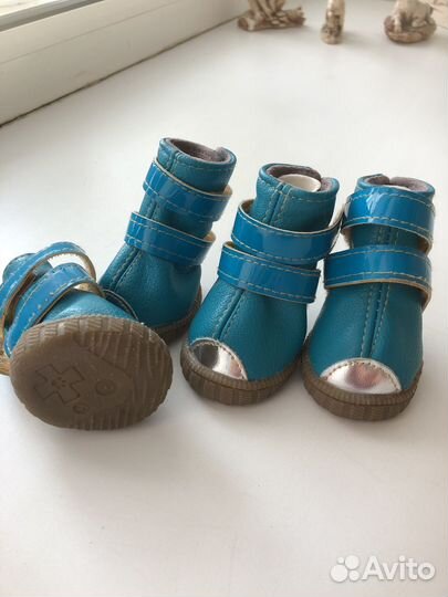 Сапожки для маленькой собачки