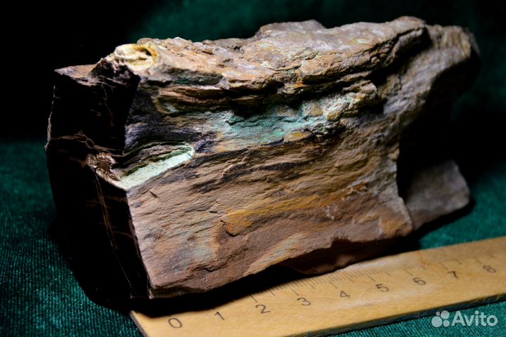 Окаменелое дерево - Малахит