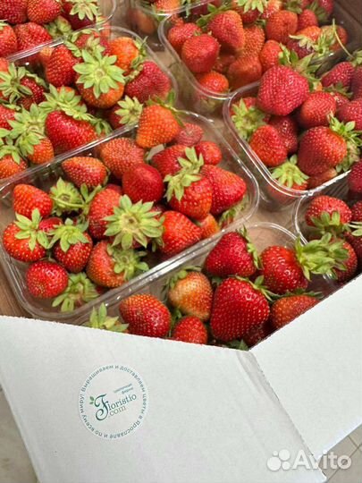 Клубника свежая Ярославль